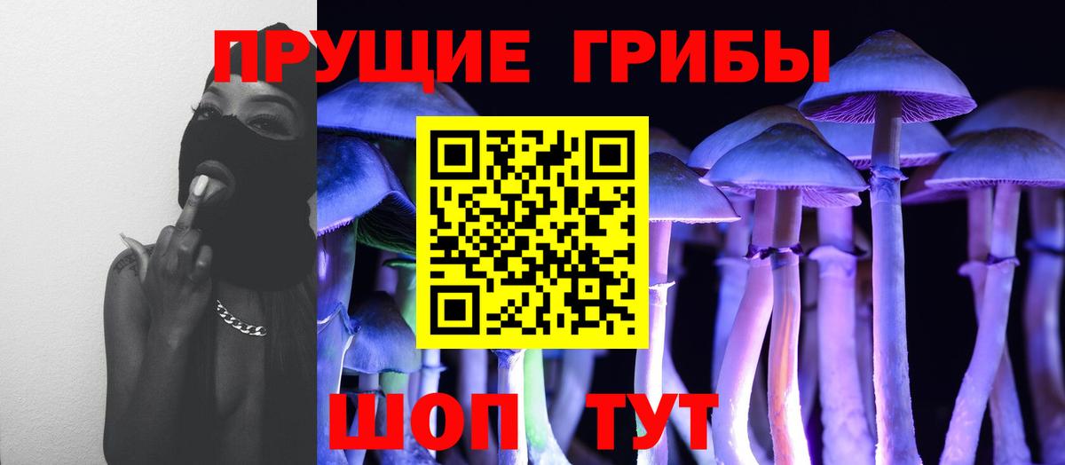 Ковров  Галлюциногенные грибы Magic Shrooms  Псилоцибиновые грибы Cubensis  Вход с VPN 